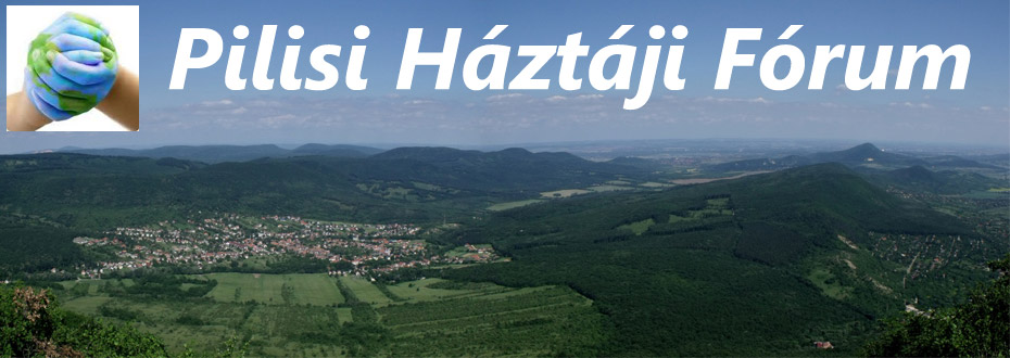 pilisi_haztaji_forum