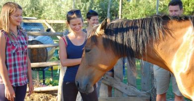 Tudásháza Műhely (Solymár) – Lovas tréningek és coaching Tudásháza Műhely (Solymár) – Lovas tréningek és coaching